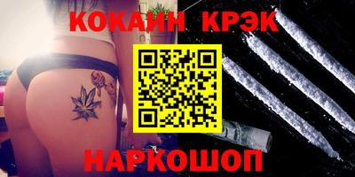 стафф Гай