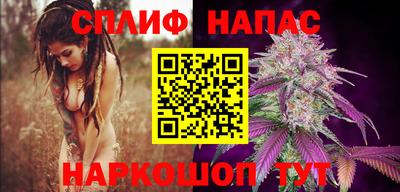 стафф Гай
