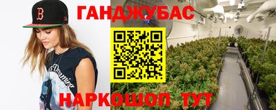 стафф Гай