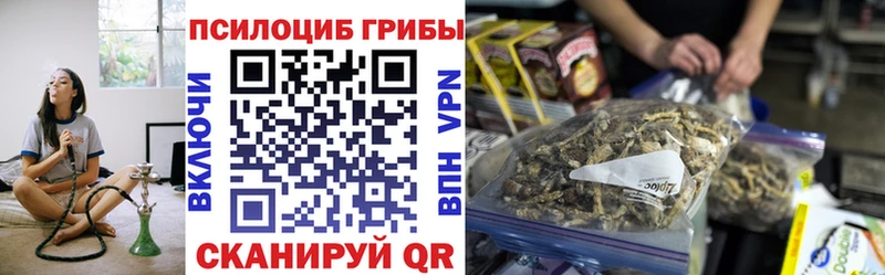 Галлюциногенные грибы GOLDEN TEACHER  где купить наркоту  Анжеро-Судженск 