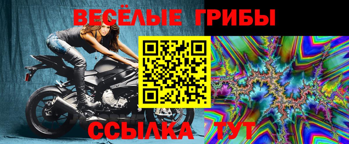 Галлюциногенные грибы мухоморы Анжеро-Судженск