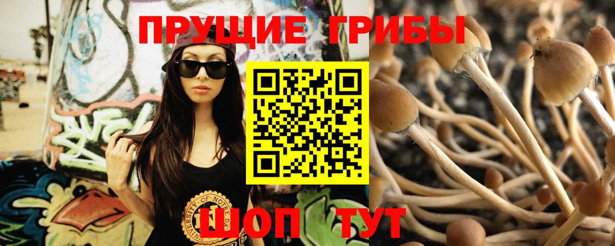 Анжеро-Судженск  Вход с VPN  НБОМе  Лсд 25  Кокаин  ГАШ  Героин  Меф МЯУ МЯУ   ЭКСТАЗИ 