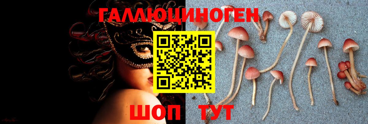 Псилоцибиновые грибы GOLDEN TEACHER Анжеро-Судженск