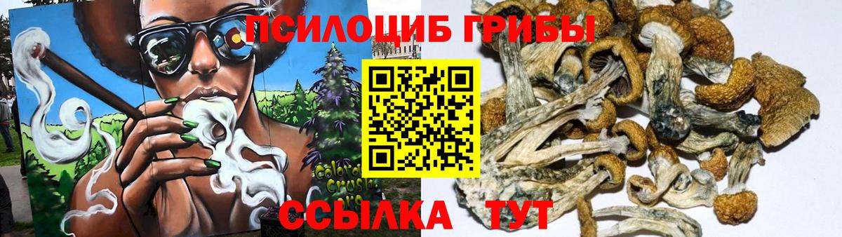 Галлюциногенные грибы Magic Shrooms  Анжеро-Судженск  Псилоцибиновые грибы ЛСД 