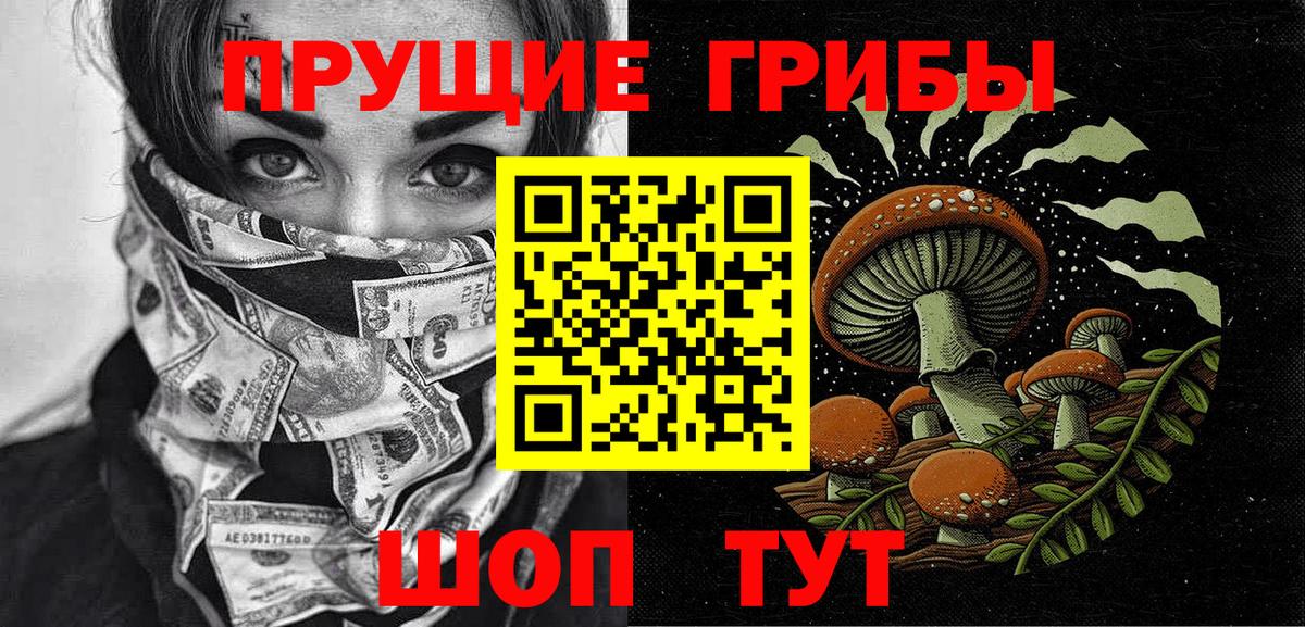 Псилоцибиновые грибы Cubensis  Вход с VPN  Анжеро-Судженск  Псилоцибиновые грибы Psilocybe 